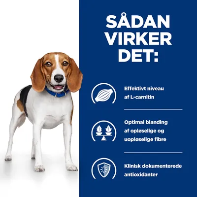SÅDAN VIRKER DET: Effektivt niveau af L-carnitin, optimal blanding af opløselige og uopløselige fibre, klinisk dokumenterede antioxidanter. Hund ved siden af tekst.