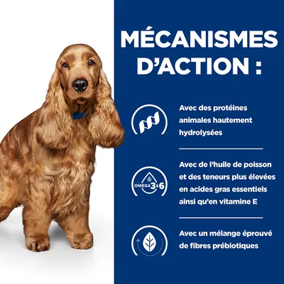 MÉCANISMES D’ACTION : protéines animales hautement hydrolysées, huile de poisson et acides gras essentiels, vitamine E, mélange éprouvé de fibres prébiotiques. Texte en fr_BE.