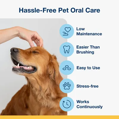 Hassle-free pet oral care with benefits: low maintenance, easier than brushing, easy to use, stress-free, works continuously. Image shows a person touching a dog's head.