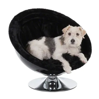 Black, round pet armchair with shiny metal base. Suitable for small to medium-sized pets.