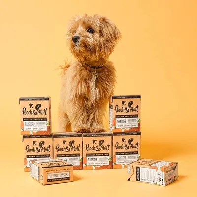 Dog standing among multiple boxes of Pooch & Mutt chicken, pumpkin and pea complete wet food. Product packaging and flavour details are clearly visible.