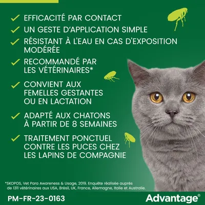 Advantage : efficacité par contact, application simple, résistant à l'eau, recommandé vétérinaires, convient femelles gestantes/lactation, chatons dès 8 semaines, lapins de compagnie.
