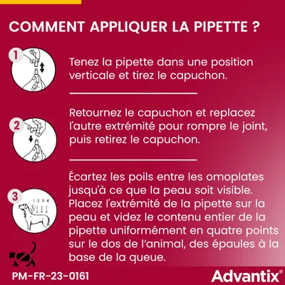 Advantix® chien moyen, de 10 kg à 25 kg