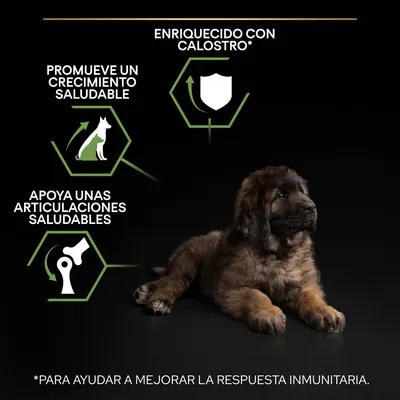 Enriquecido con calostro. Promueve un crecimiento saludable. Apoya unas articulaciones saludables. Para ayudar a mejorar la respuesta inmunitaria. Imagen de un cachorro tumbado.