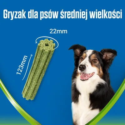 Gryzak dla psów średniej wielkości, długość 123 mm, średnica 22 mm. Widoczny zielony gryzak i pies na niebieskim tle.