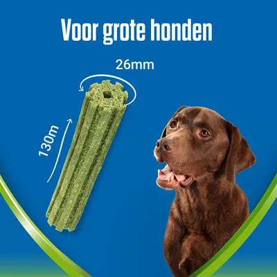 Groene kauwstaaf voor grote honden, lengte 130 mm en diameter 26 mm, naast een bruine hond. Tekst: Voor grote honden.