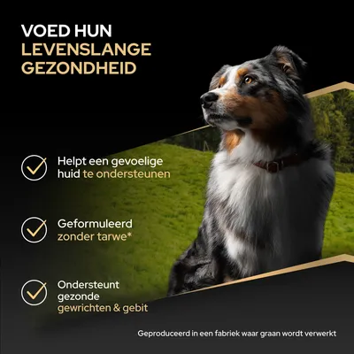 Voed hun levenslange gezondheid. Helpt de gevoelige huid te ondersteunen, zonder tarwe geformuleerd, ondersteunt gezonde gewrichten en gebit. Gemaakt in een fabriek waar granen worden verwerkt.