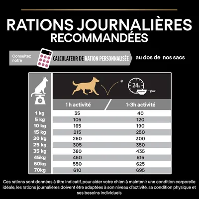 Tableau des rations journalières recommandées pour chiens selon poids (1 à 70 kg) et activité (1 h ou 1–3 h), exemple : 10 kg, 1 h = 165 g, 1–3 h = 190 g. Calculateur de ration personnalisée mentionné.