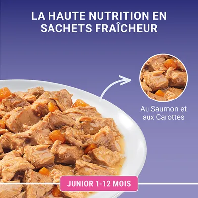 La haute nutrition en sachets fraîcheur, au saumon et aux carottes, pour junior 1–12 mois. Morceaux visibles sur assiette.
