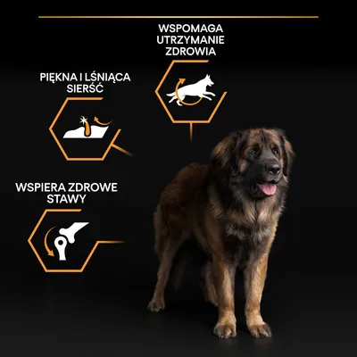 Pies obok ikon z tekstem: wspomaga utrzymanie zdrowia, piękna i lśniąca sierść, wspiera zdrowe stawy.