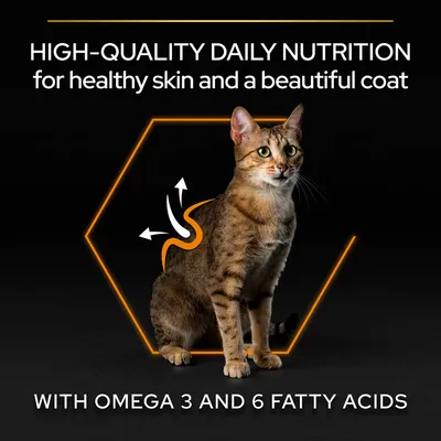 HIGH-QUALITY DAILY NUTRITION for healthy skin and a beautiful coat. WITH OMEGA 3 AND 6 FATTY ACIDS. Text in English. Image of a tabby cat with orange outline and arrows.