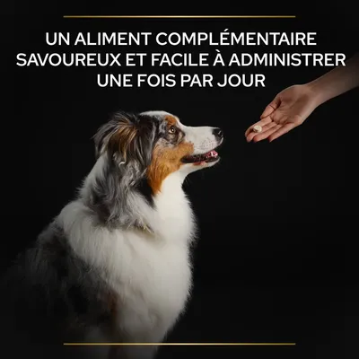 UN ALIMENT COMPLÉMENTAIRE SAVOUREUX ET FACILE À ADMINISTRER UNE FOIS PAR JOUR