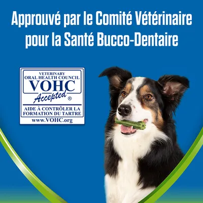 Texte : Approuvé par le Comité Vétérinaire pour la Santé Bucco-Dentaire. Sceau VOHC Accepted, aide à contrôler la formation du tartre, www.VOHC.org. Chien tenant une friandise verte.