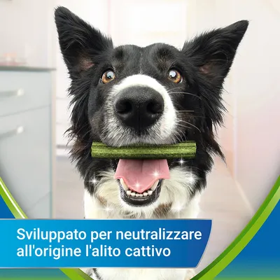 Cane con snack verde in bocca, testo visibile: Sviluppato per neutralizzare all'origine l'alito cattivo.