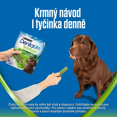 Purina Dentalife ActivFresh pre veľkých psov, balenie s 4 tyčinkami. Krmný návod: 1 tyčinka denne. Text v češtine: čerstvá voda, dohľad počas podávania, dodržiavať krmný návod.