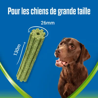 Friandise verte pour chiens de grande taille, dimensions indiquées : 130 mm de long et 26 mm de large. Texte visible : « Pour les chiens de grande taille ».