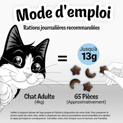 Mode d'emploi : rations journalières recommandées pour chat adulte (4 kg) jusqu'à 13 g, environ 65 pièces. Illustration de friandises et main tenant une pièce.