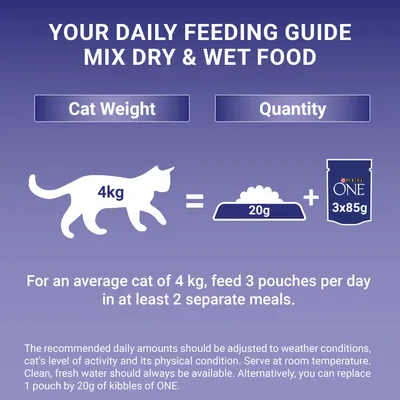 Feeding guide: for a 4kg cat, give 20g dry food plus 3 pouches of 85g wet food daily, split into at least 2 meals. Adjust amounts as needed; fresh water should always be available.