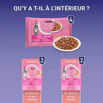 Purina ONE Junior 1–12 mois, lot de 4 sachets 85g : 2 x au saumon et aux carottes. Visuel du produit, assiette de nourriture pour chaton, texte en français sur l’emballage.