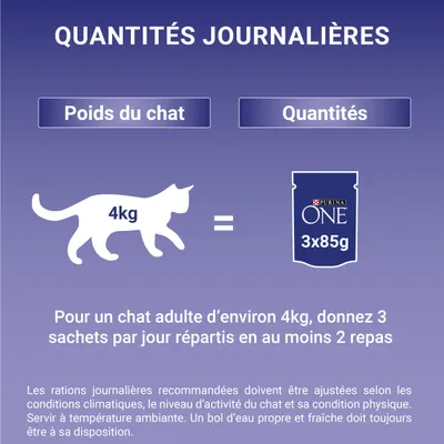 Conseils d’alimentation : pour un chat adulte de 4 kg, donner 3 sachets Purina ONE 3x85g par jour, répartis en au moins 2 repas. Poids du chat et quantités indiqués.