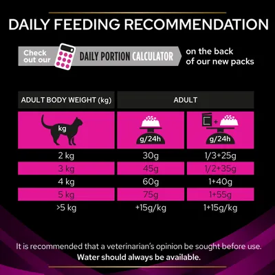 Daily feeding recommendation table showing adult body weight in kg with corresponding daily food portions in grams and mixed feeding amounts. Water should always be available.