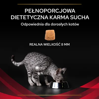 Pełnoporcjowa dietetyczna karma sucha dla dorosłych kotów, realna wielkość granulki 8 mm. Na zdjęciu kot jedzący z miski.