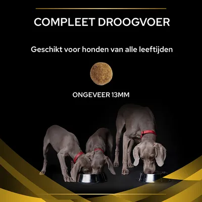 COMPLEET DROOGVOER. Geschikt voor honden van alle leeftijden. Brokjes ongeveer 13 mm. Drie grijze honden met rode halsband eten uit metalen voerbakken.