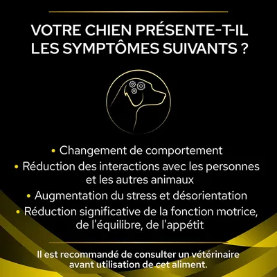 Votre chien présente-t-il les symptômes suivants ? Changement de comportement, réduction des interactions, augmentation du stress, réduction motrice. Consultez un vétérinaire avant usage.
