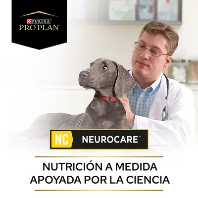 Purina Pro Plan NeuroCare. Nutrición a medida apoyada por la ciencia. Imagen de un perro con collar rojo junto a una persona con bata blanca.