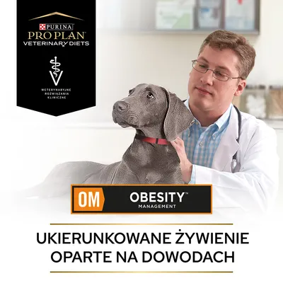 Purina Pro Plan Veterinary Diets OM Obesity Management, weterynaryjne rozwiązania kliniczne, ukierunkowane żywienie oparte na dowodach. Pies u weterynarza.