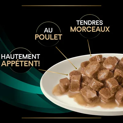 Hautement appétent, au poulet, tendres morceaux – texte visible sur image de bouchées en sauce dans une assiette blanche.