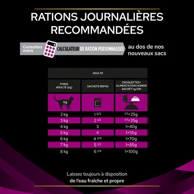 Tableau des rations journalières recommandées pour chats adultes : poids 2–8 kg, sachets repas 2/3 à 6 1/4, croquettes + humide 25–100 g. Eau fraîche et propre toujours disponible.