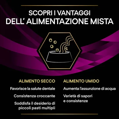 Scopri i vantaggi dell’alimentazione mista. Alimento secco: favorisce la salute dentale, consistenza croccante, soddisfa il desiderio di piccoli pasti multipli. Alimento umido: aumenta l’assunzione di acqua, varietà di sapori e consistenze.
