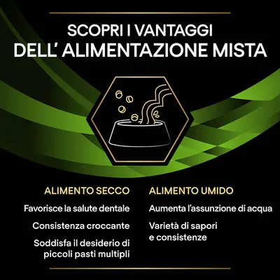 Scopri i vantaggi dell’alimentazione mista. Alimento secco: favorisce la salute dentale, consistenza croccante, soddisfa il desiderio di piccoli pasti multipli. Alimento umido: aumenta l’assunzione di acqua, varietà di sapori e consistenze.