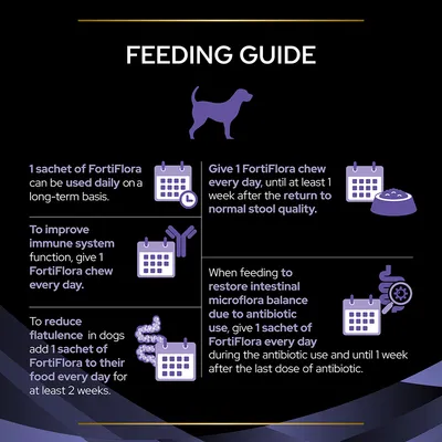 Feeding guide for FortiFlora: 1 sachet daily long-term, 1 chew daily for immune system, 1 sachet daily for flatulence at least 2 weeks, 1 chew daily after normal stool, 1 sachet daily with antibiotics.