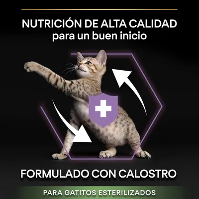 Nutrición de alta calidad para un buen inicio. Formulado con calostro para gatitos esterilizados.