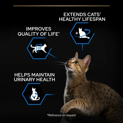 Teksti englanniksi: Improves quality of life, Extends cats’ healthy lifespan, Helps maintain urinary health. Kuvassa myös kissa ja kolme symbolia. *Reference on request.