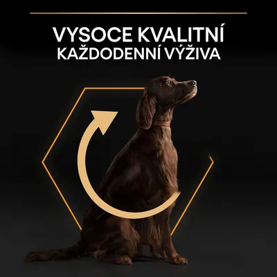 Vysoko kvalitní každodenní výživa – text s obrázkem psa a grafickým symbolem šipky v kruhu.