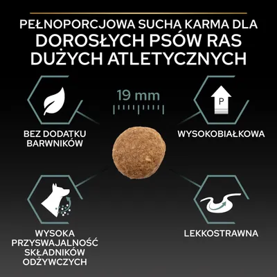 Pełnoporcjowa sucha karma dla dorosłych psów ras dużych atletycznych, granulka 19 mm, bez dodatku barwników, wysokobiałkowa, wysoka przyswajalność składników, lekkostrawna.