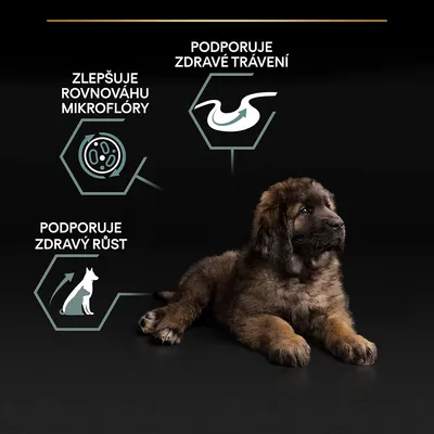 Text: Zlepšuje rovnováhu mikroflóry, Podporuje zdravé trávení, Podporuje zdravý růst. Ilustrace psa a symboly trávení a mikroflóry.