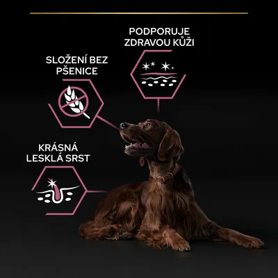 Text: SLOŽENÍ BEZ PŠENICE, PODPORUJE ZDRAVOU KŮŽI, KRÁSNÁ LESKLÁ SRST. Text je v češtine.