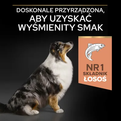 Doskonałe przyrządzenie, aby uzyskać wyśmienity smak. NR 1 składnik łosoś.