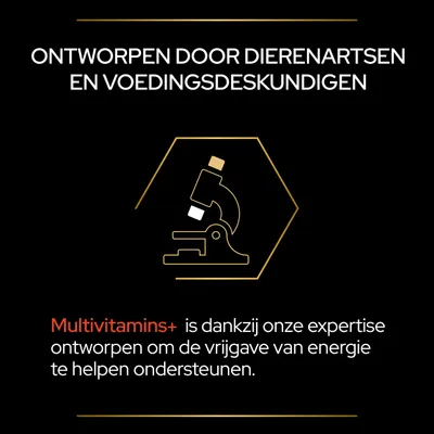 Ontworpen door dierenartsen en voedingsdeskundigen. Multivitamins+ is dankzij onze expertise ontworpen om de vrijgave van energie te helpen ondersteunen.