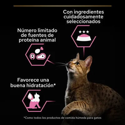 Con ingredientes cuidadosamente seleccionados, número limitado de fuentes de proteína animal, favorece una buena hidratación. Imagen de un gato y gráficos informativos.