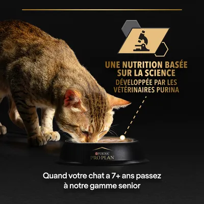 Une nutrition basée sur la science, développée par les vétérinaires Purina. Quand votre chat a 7+ ans passez à notre gamme senior. Purina Pro Plan visible sur la gamelle.
