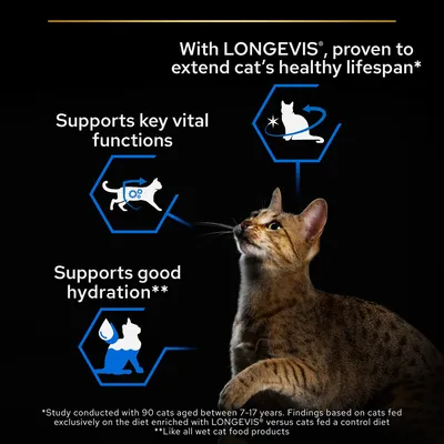 Teksti: With LONGEVIS, proven to extend cat’s healthy lifespan. Supports key vital functions. Supports good hydration. Kuvituksia kissasta ja vesipisarasta, ruskea kissa alhaalla.