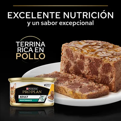 Purina Pro Plan Adult Maintenance, terrina rica en pollo. Excelente nutrición y un sabor excepcional. Imagen de comida húmeda para gatos servida en plato y envase visible.