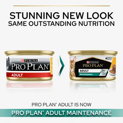 Purina Pro Plan Adult macskaeledel csomagolásváltás: régi ADULT feliratú doboz, új ADULT MAINTENANCE feliratú doboz. Angol nyelvű szöveg: PRO PLAN ADULT IS NOW PRO PLAN ADULT MAINTENANCE.