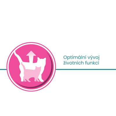 Ikona dvou koček a šipky nahoru, text: Optimální vývoj životních funkcí