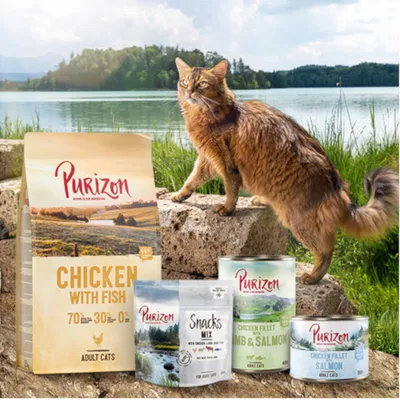 Purizon hrana za mačke: velika vreća Chicken with Fish, limenke Chicken Fillet Lamb & Salmon i Chicken Fillet Salmon, pakiranje Snacks Mix. Smeđa mačka pored proizvoda.
